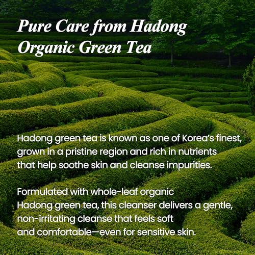 Green Tea Oil Real Fresh Foam Cleanser for Sensitive Skin - Hydrating & Calming