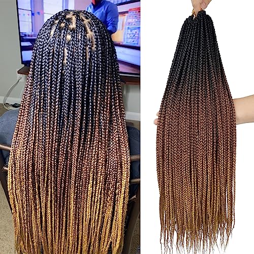 20 Inch Ombre Crochet Box Braids for Black Women - 6 Packs, 1B/30/27 Variation