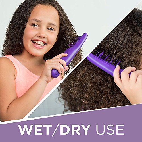 Electric Detangling Hair Brush for Thick Curly Hair - Cordless, Wet & Dry Use