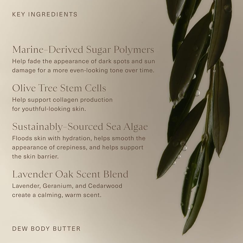 Oak Essentials Dew Body Butter, Whipped Hydrating Body Moisturizer 5.3 oz – Variation of THIS listing