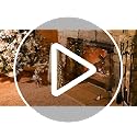 Barton Realistic Style 10-Piece Ceramic Gas Fireplace Log Set - Indoor & Outdoor Vented Fireplaces
