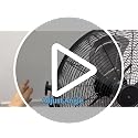 Heavy Duty 18-Inch Metal Pedestal Fan with Adjustable Height & 3 Speeds