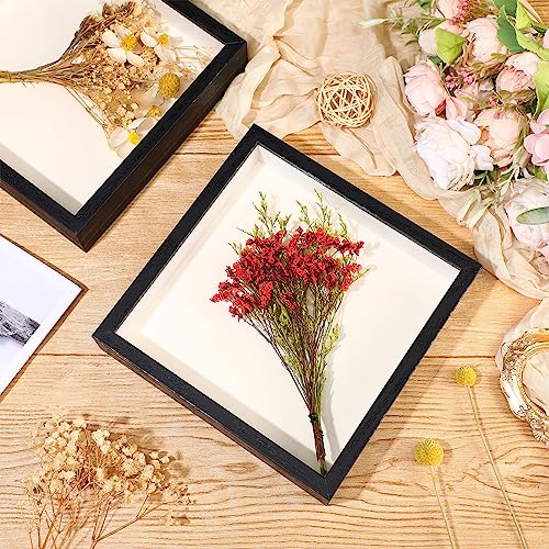 Ripeng 16 Pack 8x8 Inch Deep Shadow Box Frames - Black Wall Display Cases