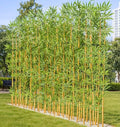 4 ft Artificial Bamboo Tree Privacy Screen Outdoor Indoor Faux Plant