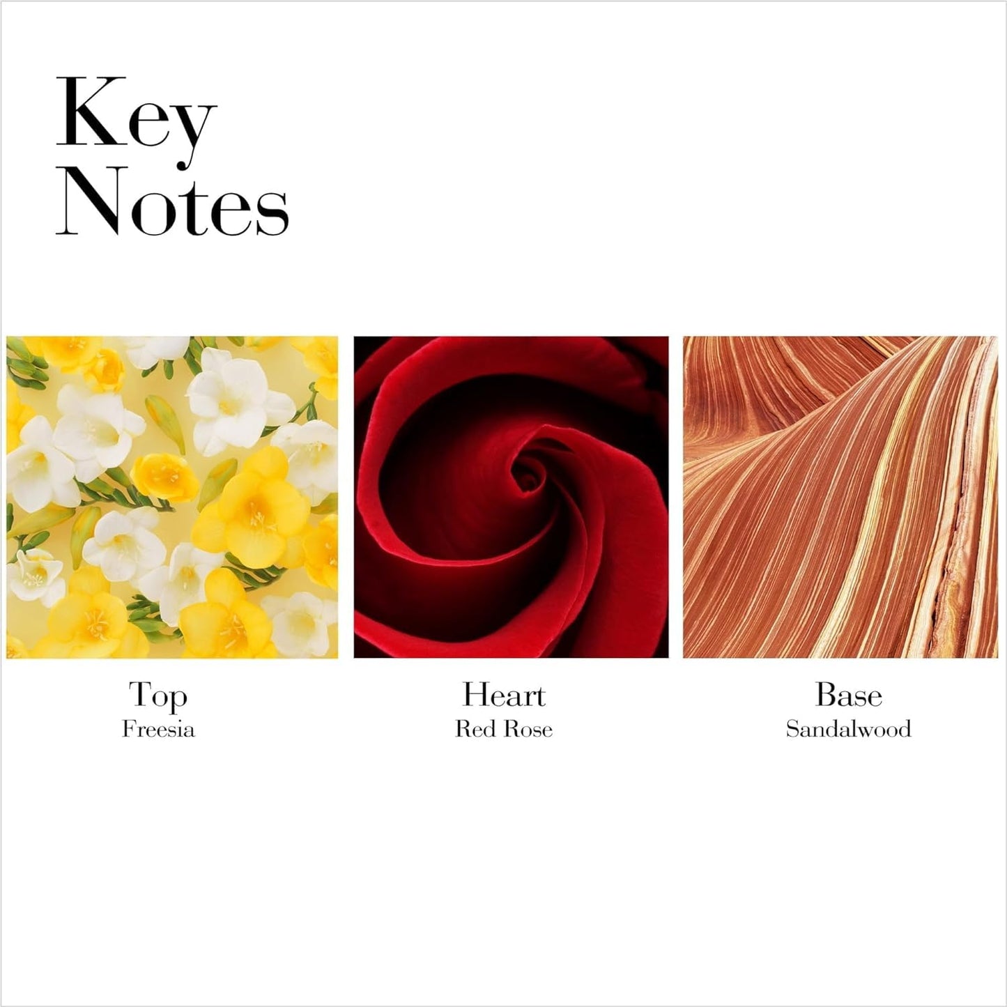 JUMBO BEAUTY Premium Designer Brands Perfumes For Women Red Door Perfume Eau de Toilette Spray for Women 3.3 oz Bundle with Refillable Perfume Atomizer Bottle and Lipstick Balm