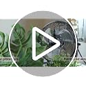 Simple Deluxe 20-Inch Heavy Duty Metal Industrial Floor Fans 2 Pack - 3-Speed, Black