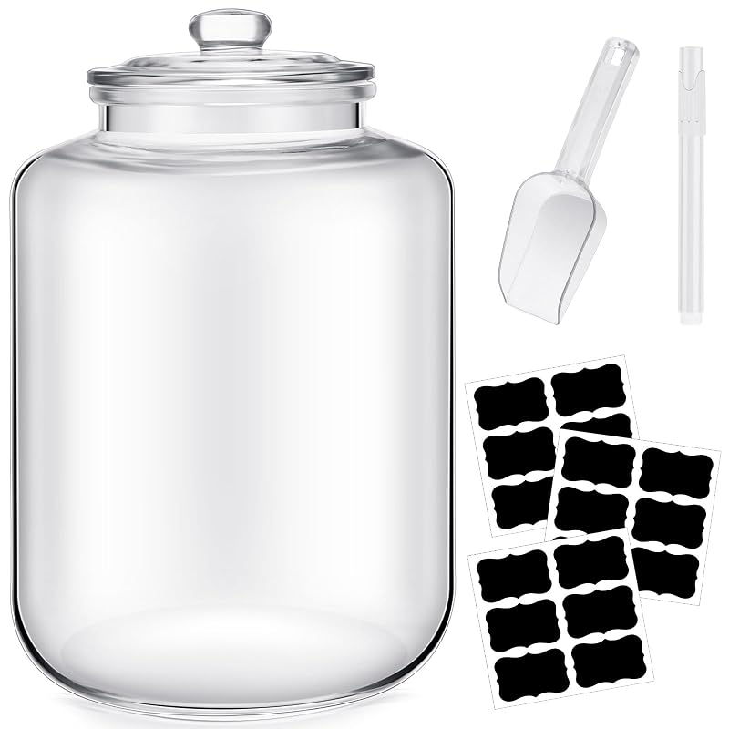 6 Gallon Glass Jar with Lid – Large Wide-Mouth Airtight Food Storage Canister for Flour, Sugar, Cookies