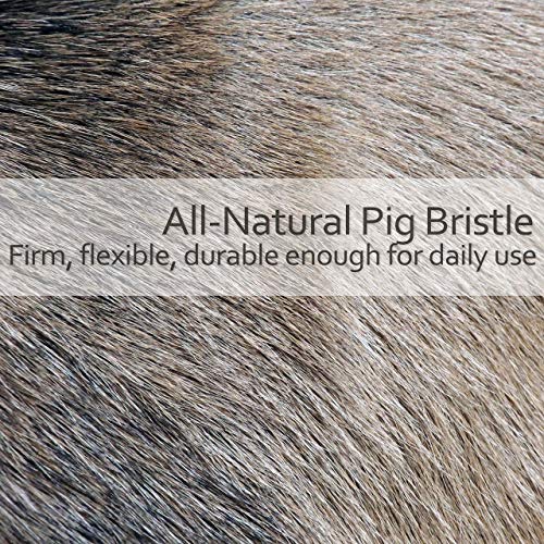 Short Handle Body Brush with Natural Pig Bristles - 11.8 Inch Beechwood