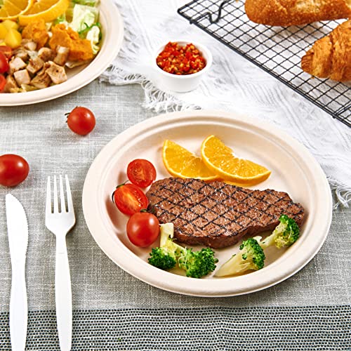 Vplus 500 Pack 9-Inch Compostable Sugarcane Fiber Plates Eco-Friendly Durable Dinnerware