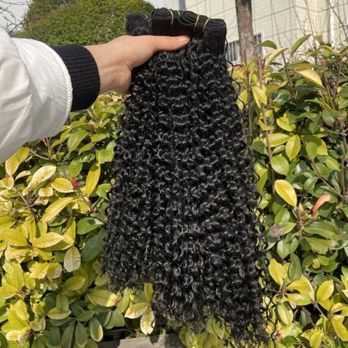 REYNA 24 Inch Afro Kinky Curly Synthetic Hair Extensions - 3 Bundles, Natural Black, Model 1B#