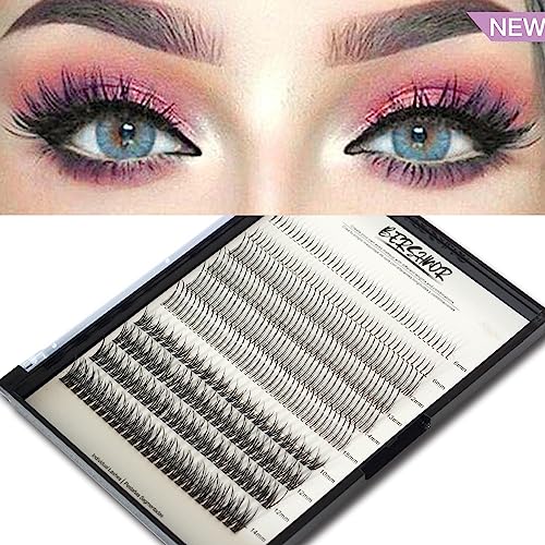Bluesmurfs Individual False Lash DIY Eyelash Extensions 348 Clusters Lashes CD Curl Long Lashes Volume Individual Lashes Mixed Tray Faux Mink Fake Eyelashes Top Bottom Lashes DIY at Home (6-15mm MIX)