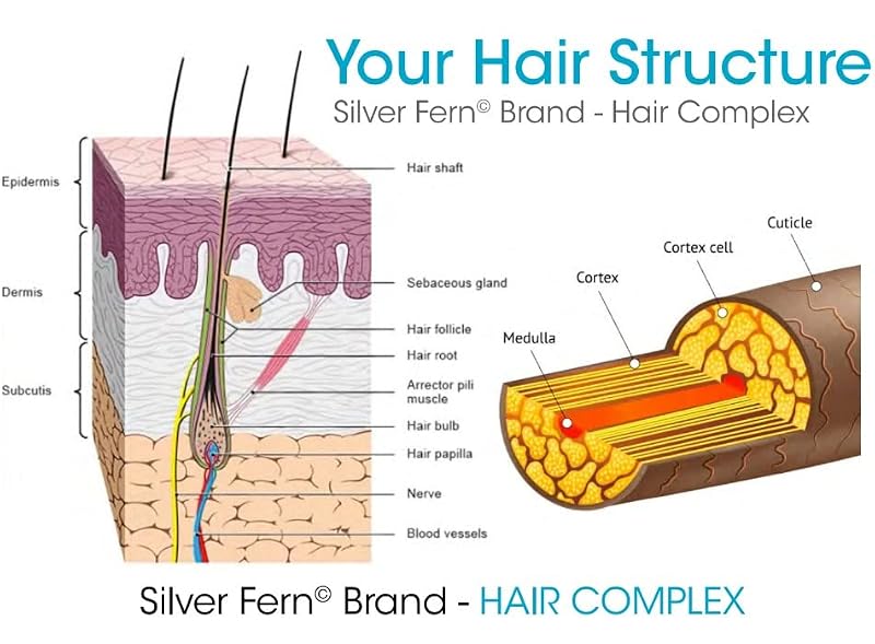 2 Ounce Silver Fern Hair Complex Hair Supplement for Healthy Hair - 30 Capsules
