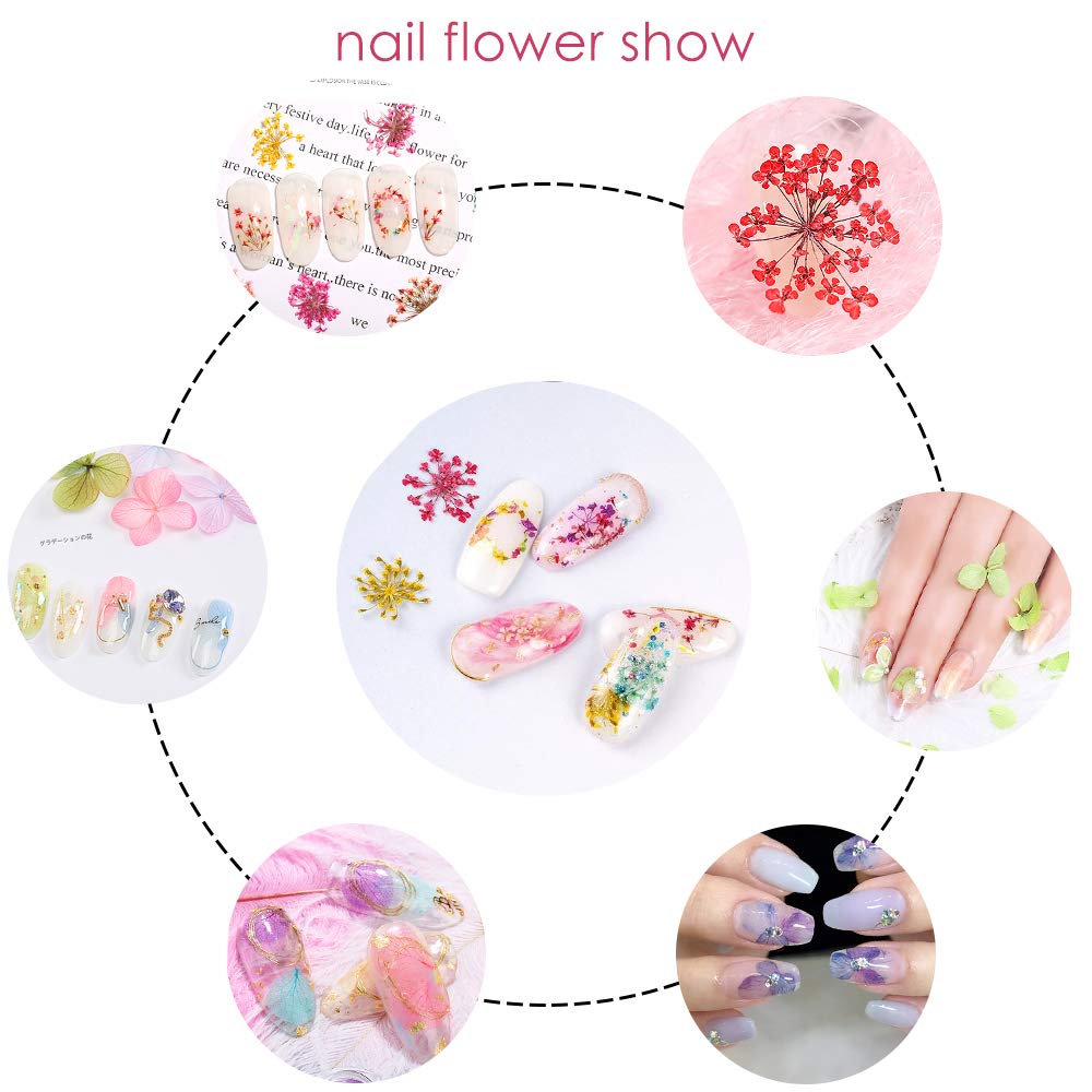 Mini Dried Flowers for Resin Craft & Nail Art - 6 Box Set (260+ Pieces)