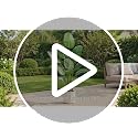 Artificial Bird of Paradise Plant - 6FT Tall Fake Traveler’s Palm Tree - Tropical Decor