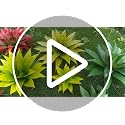 Artificial Agave Plants Outdoor Set of 2 - 28 Inch Fake Succulents for Patio & Garden, UV Resistant, Realistic Greenery - Variation: 28" Green-2