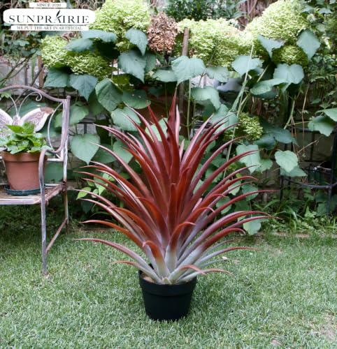 Artificial Aloe Vera Plant 26 Inches Tall - Realistic Faux Indoor Decor
