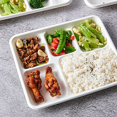 Disposable 5-Compartment Plates - Compostable Sugarcane Fiber, 10.2x8.5 inch, 500 Pack - White
