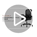 Synorla Ergonomic Office Chair with Flip-Up Armrests, Lumbar Support, 330 lbs, Black (Standard)