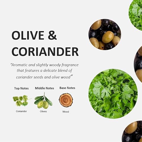 Fruit & Passion Cucina Coriander & Olive Mini Hand Soap Refill (250ml) and Nourishing Hand Cream (50ml) Holiday Gift Set Bundle