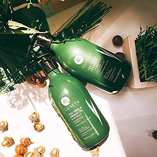 Luseta Tea Tree Conditioner 33.8oz | Oily & Damaged Hair Care, Sulfate-Free, Pack of 1