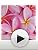 Michel Germain Sugarful Eau de Parfum Gift Set - Sugarful Sunshine, Fruity Floral Gourmand, 3.4 fl oz & 1.4 oz