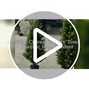 GZFDY 3Ft Artificial Cedar Topiary Trees (2-Pack) with Ground Spikes - UV-Resistant Indoor & Outdoor Faux Shrubs, Green Ground Spike Cedar-2pcs