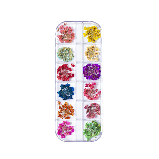Mini Dried Flowers for Resin Craft & Nail Art - 6 Box Set (260+ Pieces)