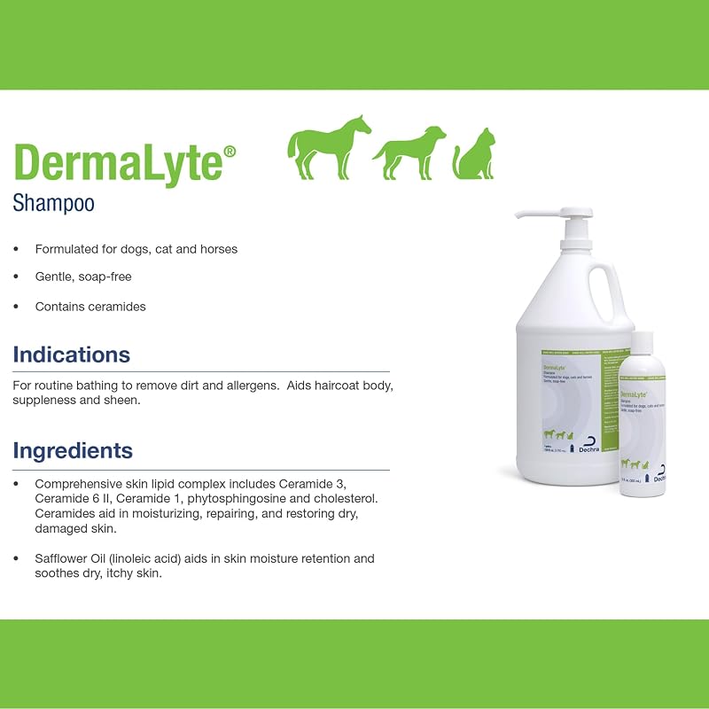 DermaLyte All-Natural Shampoo for Pets - 12 oz Pack of 2 (12 oz each)