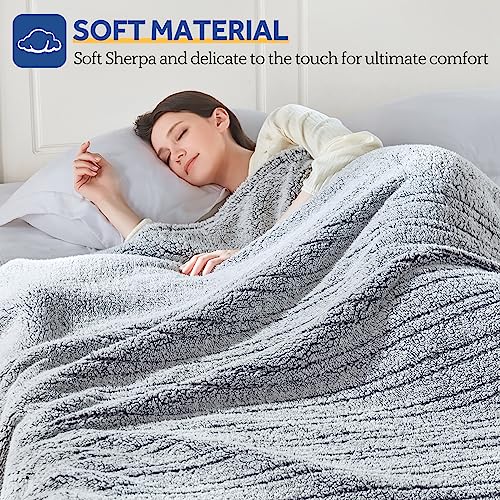 Sealy Full Size Electric Heated Blanket 10 Heat Levels Charcoal 80x84"