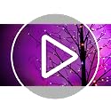 2 Pack 6FT Black Birch Halloween Tree with Purple & Orange LED Lights, Timer & Waterproof