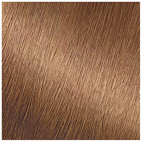 Garnier Nutrisse Nourishing Hair Color Creme 2 Pack - 72 Dark Beige Blonde (Sweet Latte) Permanent Dye