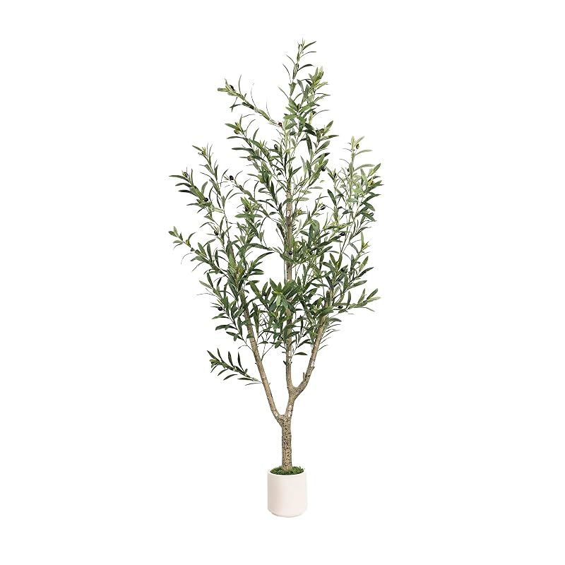 MCTYBB 6ft Olive Trees Artificial Indoor with White Planter - Triple-Trunk