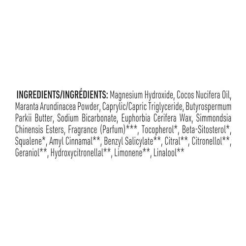 Vegan Aluminum-Free Deodorant for Women and Men - Fresh Rain & Birch, 2.65 oz Pack of 4