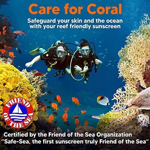 SAFE SEA Zinc Oxide Sunscreen SPF30 - 3.4oz Reef Safe Clear Face & Body Lotion, Jellyfish & Sea Lice Sting Protection (1 Pack)