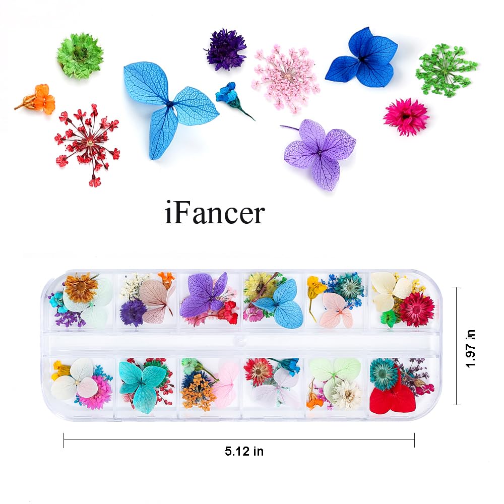 Mini Dried Flowers for Resin Craft & Nail Art - 6 Box Set (260+ Pieces)