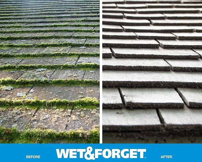 Wet & Forget Outdoor Stain Remover Hose End 96oz Pack of 2 for Roofs & Siding