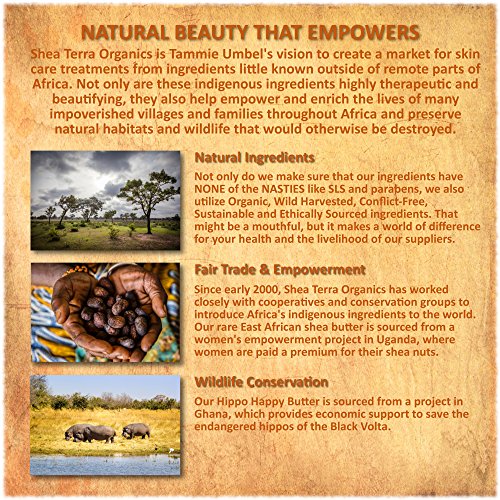 Deep Pore Facial Cleanser with Rose Hips & Black Soap - Anti-Aging & Acne Treatment, All Skin Types - 4 oz