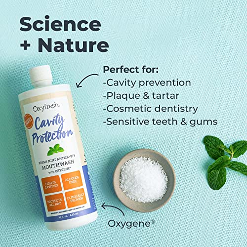 Oxyfresh Cavity Protection Fluoride Mouthwash 16 Fl Oz Pack of 3 - Alcohol-Free Fresh Mint