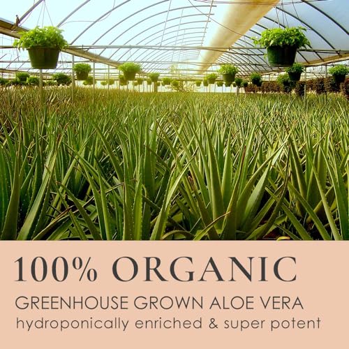 Gentle Aloe & Glycolic Face Wash for Sensitive Skin - 6.7 oz - Variation of THIS listing