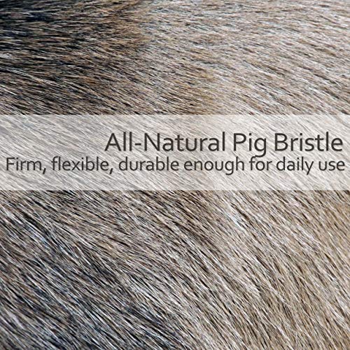 Children's Hairbrush with Natural Pig Bristle & Beechwood Handle - 7.25 Inches