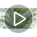 2 Pack 5ft Artificial Palm Trees for Indoor Outdoor Decor - Faux Areca Tree with Real Bark Design