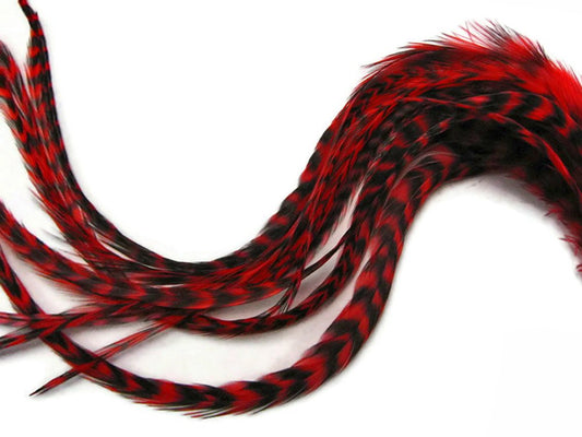 Moonlight Feather, Hair Extension Feathers; 6 Pieces - XL Red Grizzly Thick Extra Long Rooster Hair Extension Feathers