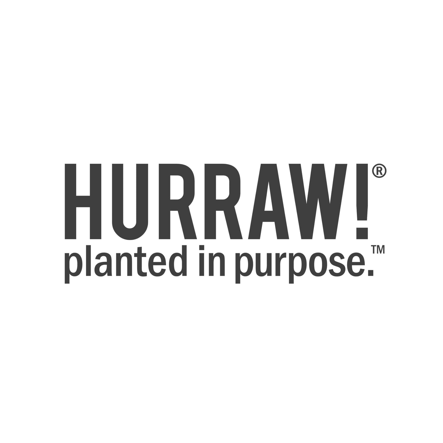 Hurraw! Raspberry Tinted Lip Balm, 3 Pack: (Sheer Berry Tint) Organic, Certified Vegan, Cruelty and Gluten Free. Non-GMO, 100% Natural Ingredients. Bee, Shea, Soy and Palm Free. Made in USA