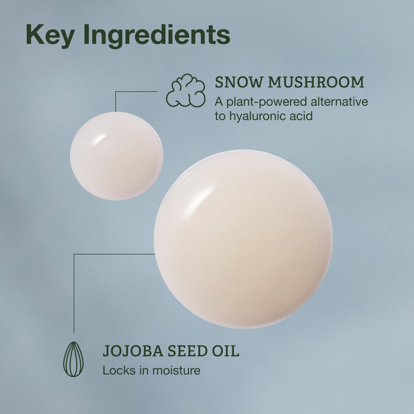 Botanics Hydrating Serum - Skin Plumping Serum for Face & Long-Lasting Hydration - Enriched with Snow Mushroom - Vegan & Cruelty-Free (0.84 Fl Oz)