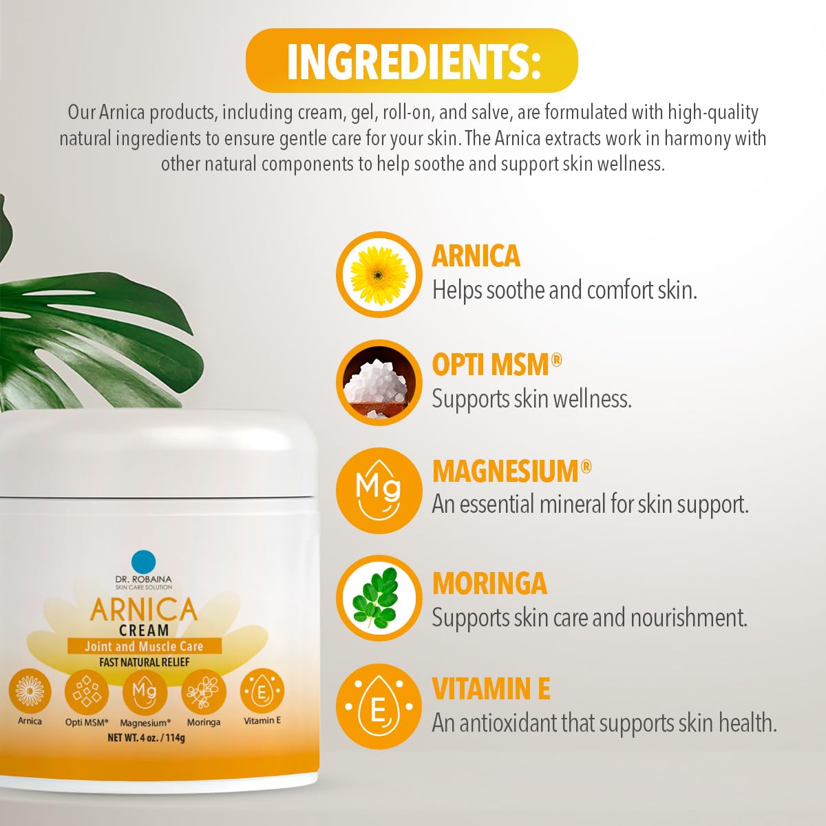 Dr. Robaina Arnica Bruise Cream 4 oz – Concentrated Arnica & Vitamin K Moisturizer for Skin That Looks More Even After Bumps & Cosmetic Touch-Ups – Fast-Absorbing, Non-Greasy, Made in USA