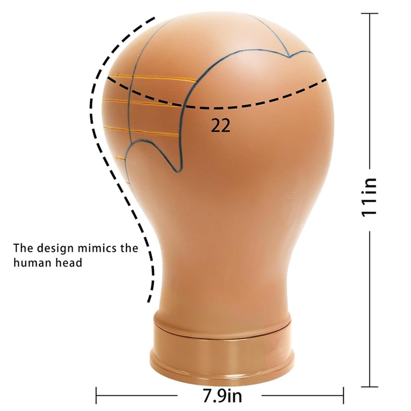 TESCOGO 22 Inch Pre-Marked Mannequin Head for Wig Making, Effective Wig Head with Guide Lines, Suitable for Most Stands, Durable and Sturdy for 10 Years