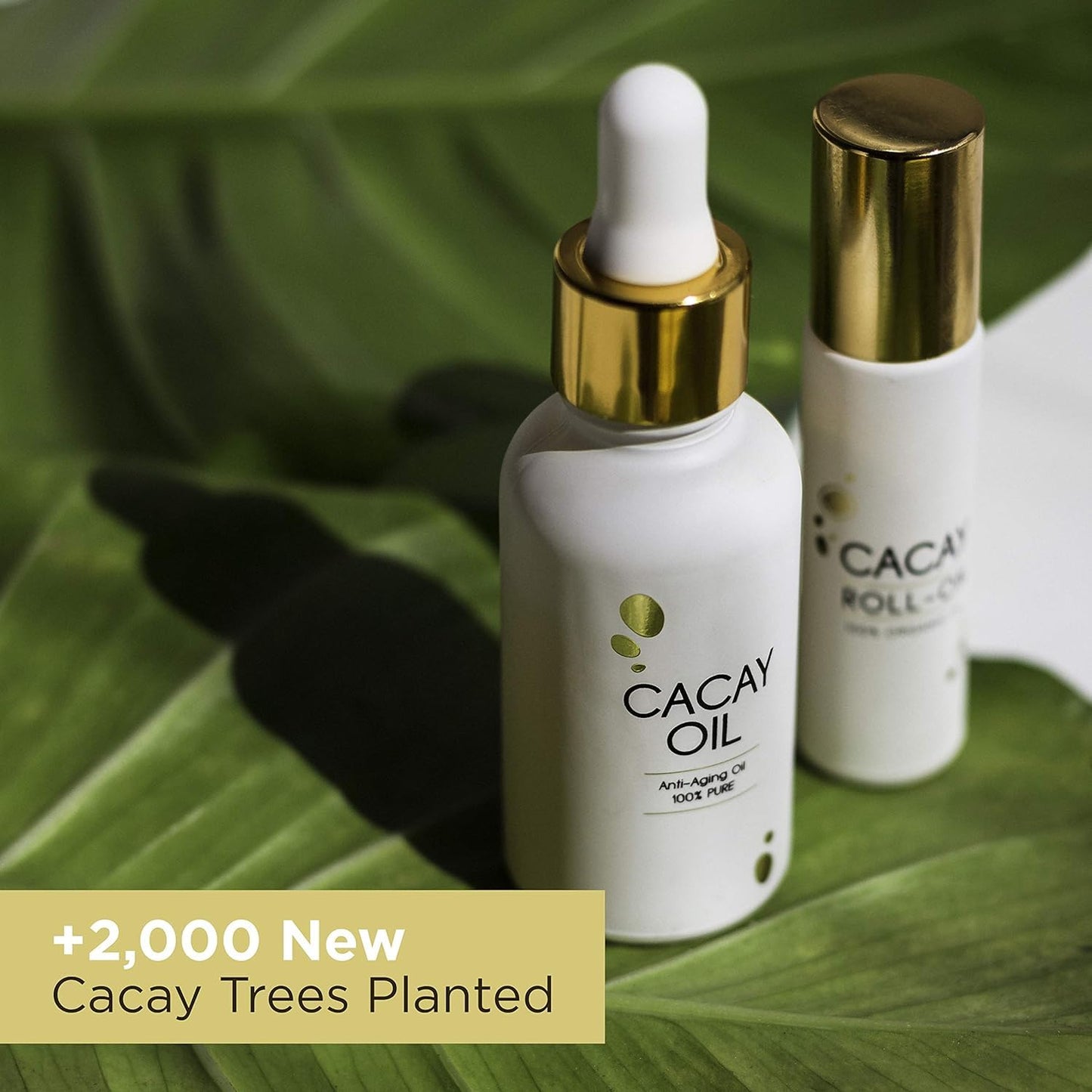 Cacay Oil Roll-On – Natural Anti-Aging Face & Body Oil for Scars with Retinol & Vitamin E, Organic Skincare, Antioxidant-Rich Treatment for Acne Scars, Wrinkles, Fine Lines, and Dry Skin (0.33 Fl Oz)