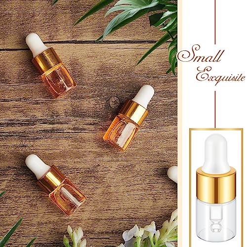 Mini Glass Oil Dropper Bottles Set - 2ml Champagne Gold, Pack of 100