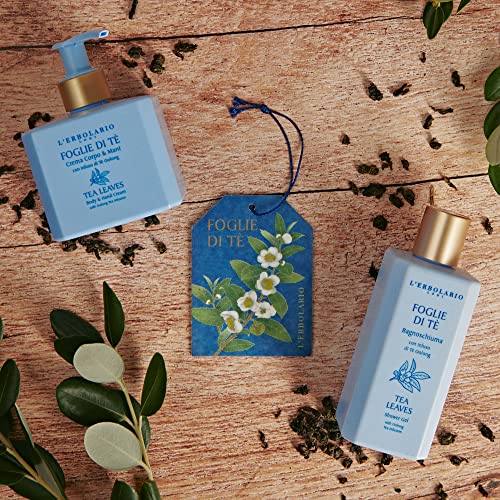 Coconut Body and Hand Cream - Toning Moisturizer with Cocoa Butter & Citrus Scent - 8.4 oz