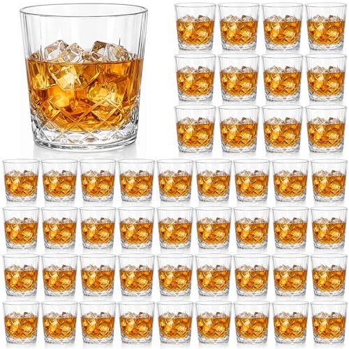 48 Pack 10 oz Clear Plastic Whiskey Glasses - Durable Shatterproof Set